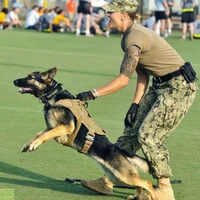 pet dog training supplies adjustable tactical vest training belt military patrol dog set with handle