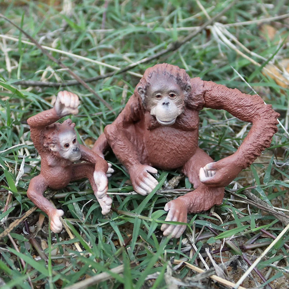 

Simulation Hylobates Wild Animal Solid Model Figure Education Cognitive Kids Toy