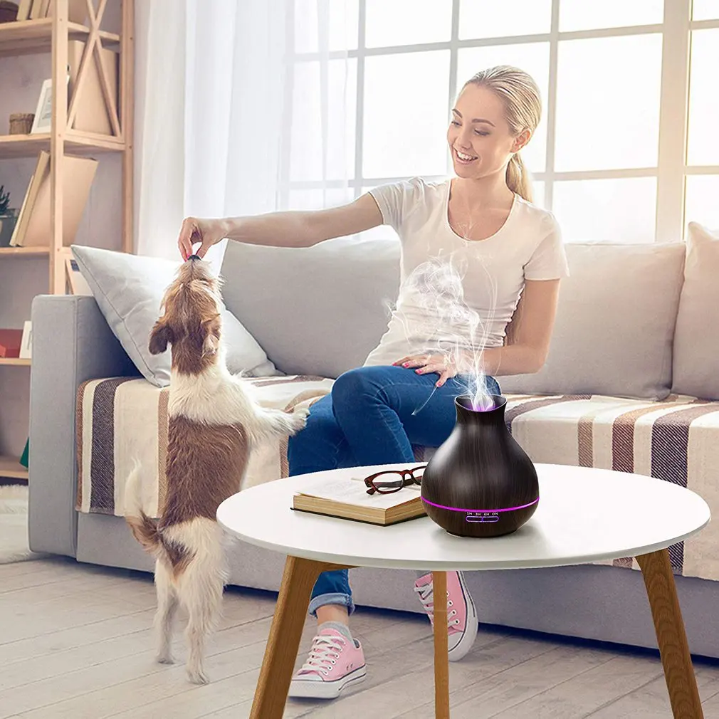 

Personal Care Appliances