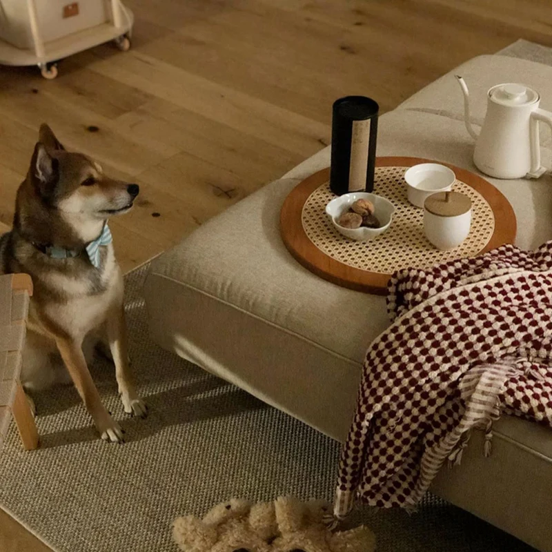 

Rattan Handwoven Round High Wall Severing Tray Food Storage Platters Plate for Breakfast Drink Snack