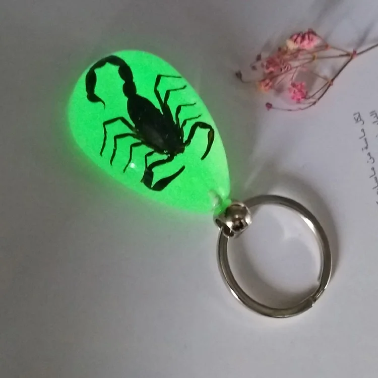 Светящийся брелок для ключей Скорпион Новый светящийся продукт настоящий Краб и