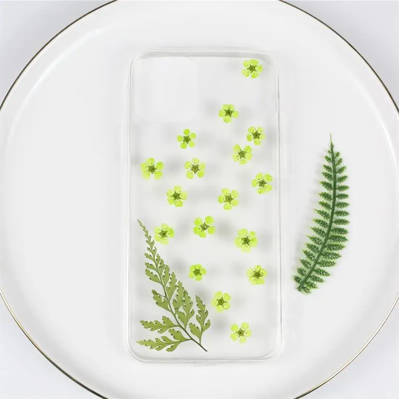 240pcs/Lot Dried Daffodils Flowers for Nail Art Plum Blossom Crafts Pressed Small Narcissus DIY Photo Frame Resin Jewelry | Дом и сад