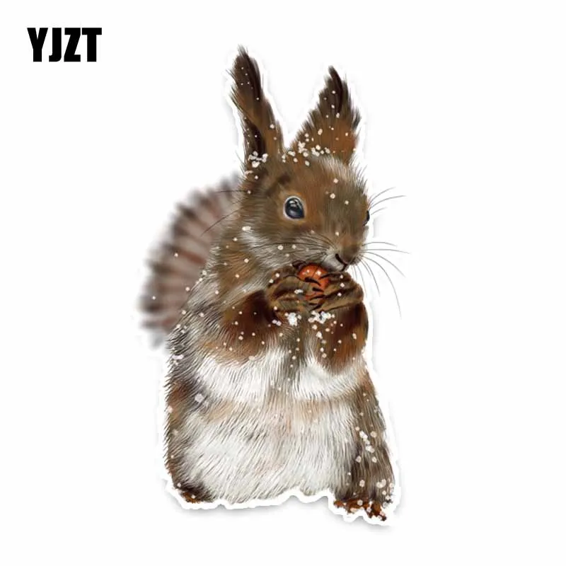 

YJZT 17CM*9.2CM Personalized Animal Squirrel PVC Decal Car Sticker C29-0490