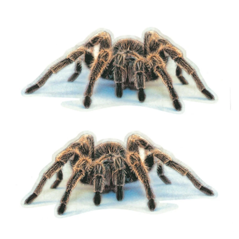 2020 новые носки с трехмерной аппликацией в виде автомобильные наклейки животными