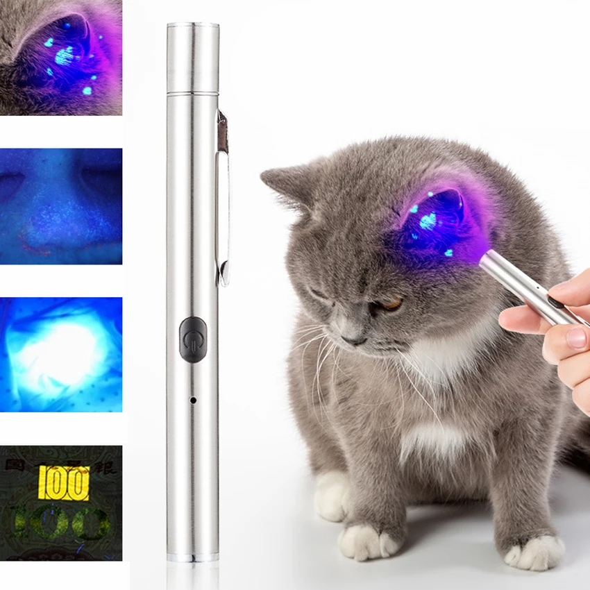 

Blacklight Flashlights Portable 365nm Led Flashlight Mini Handheld Torch Black Light Detector for Dog Urine, Pet Stains