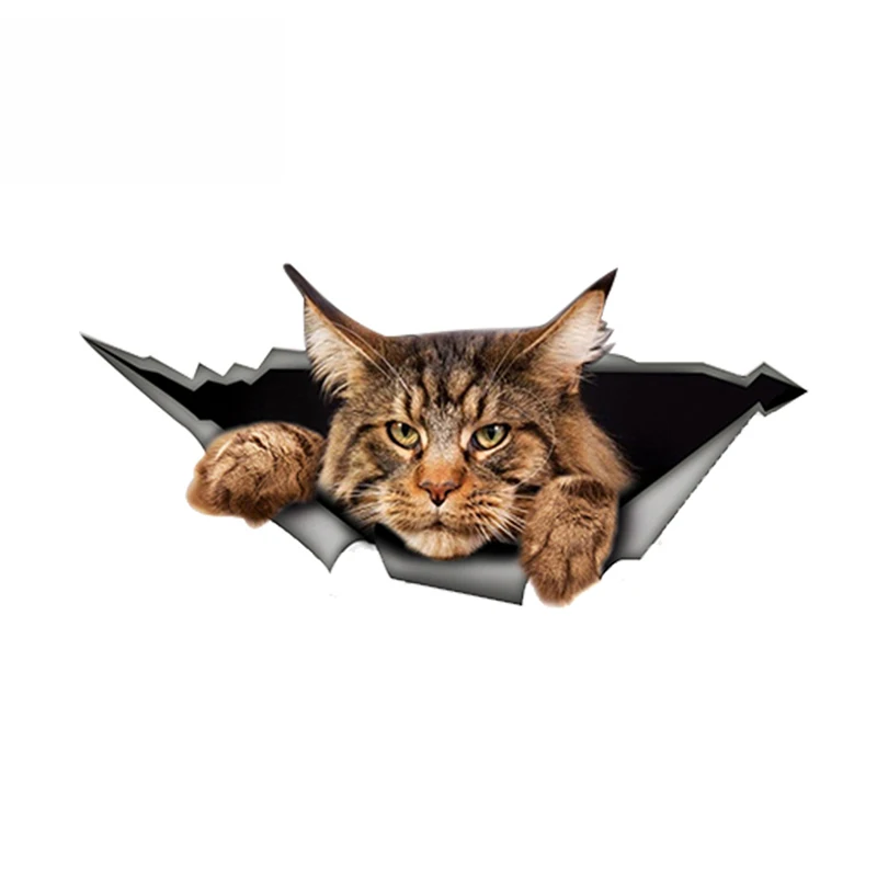 

SZWL Maine Coon Car Sticker Torn Metal Decal Reflective Waterproof Cover Scratch Sticker 3D Funny Big Cat Decals PVC,13cm*6cm