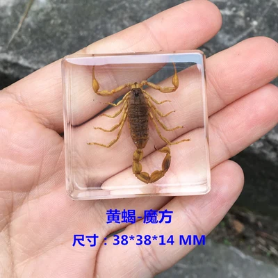 

Статуэтка скорпиона из смолы