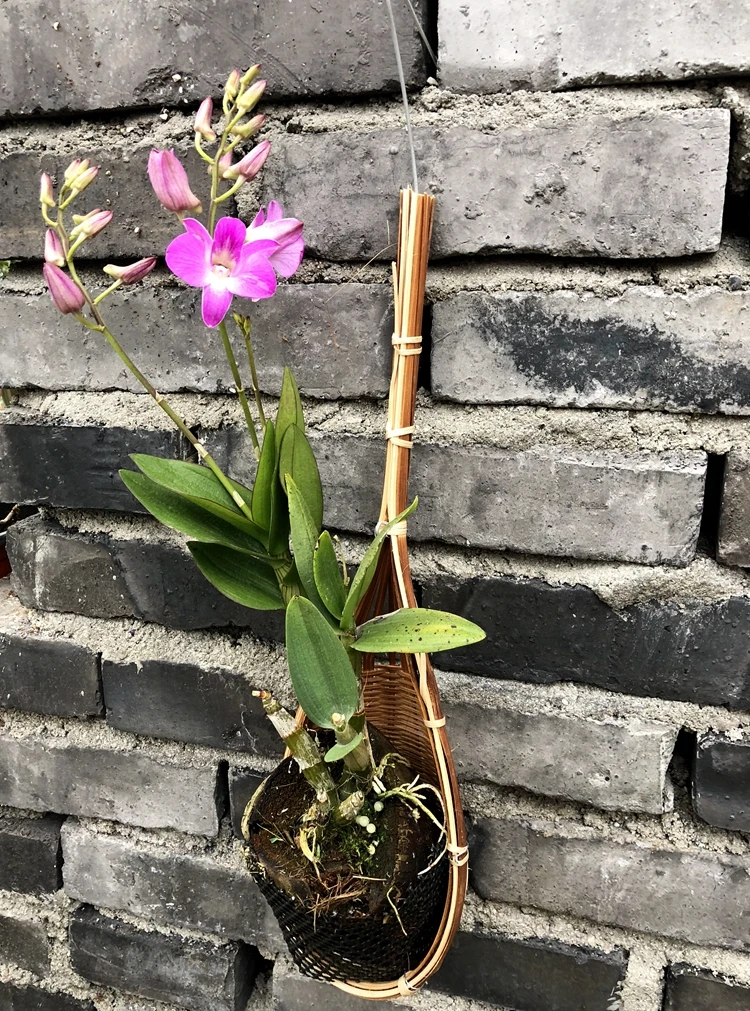 

hand woven bamboo decorative plant baskets hannging