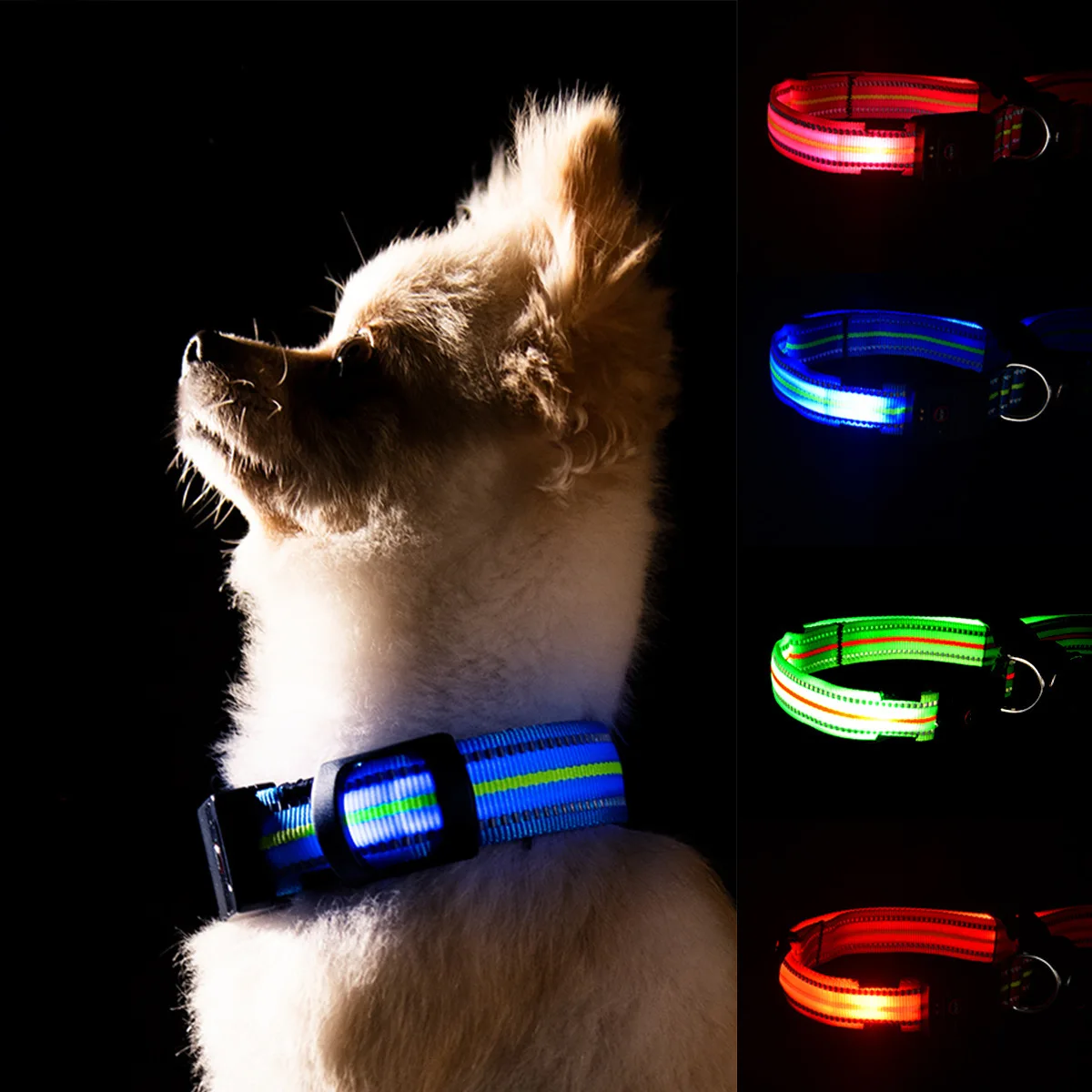

Pet dog luminous collar night anti lost magnetic charging waterproof adjustable charging collar