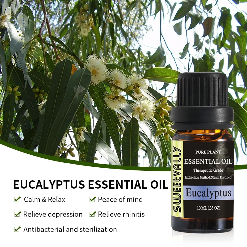 Чистое эфирное масло эвкалипта 10 мл водорастворимое ароматическое для