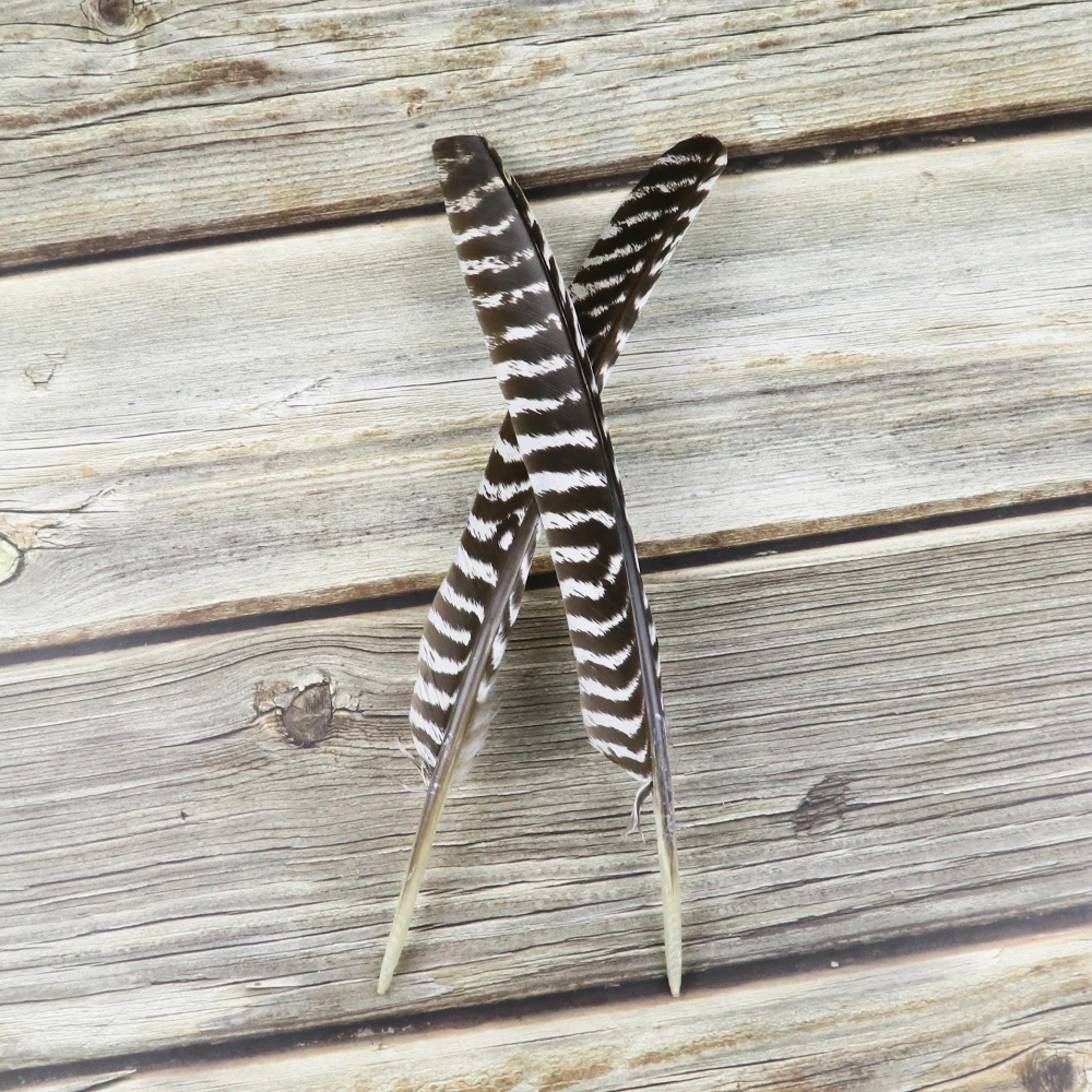 

Wholesale 10pcs Natural Turkey Feather DIY Carnival Crafts 30-35Cm Long Plumes Decoration Handiwork Cosplay Feather For Crafts