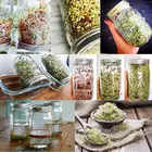 Прорастания банку с 304 Нержавеющаясталь Экран крышка с широким горлышком кварта Мейсон Sprouter проращиватель для органические люцерны в зернах