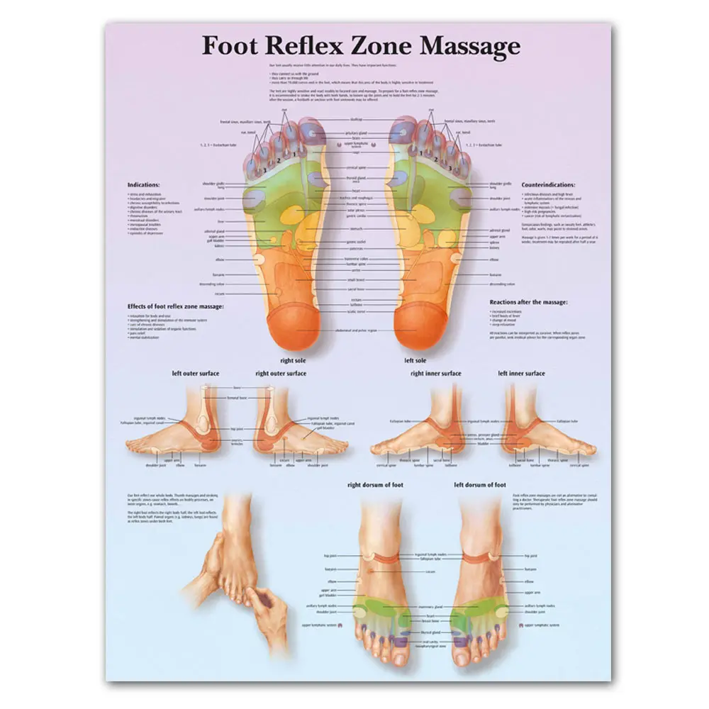 

Modular Canvas Prints Foot Reflex Zero Massage Wall Art Posters Paintings Anatomy Bedroom Home Medical Education Decor Pictures