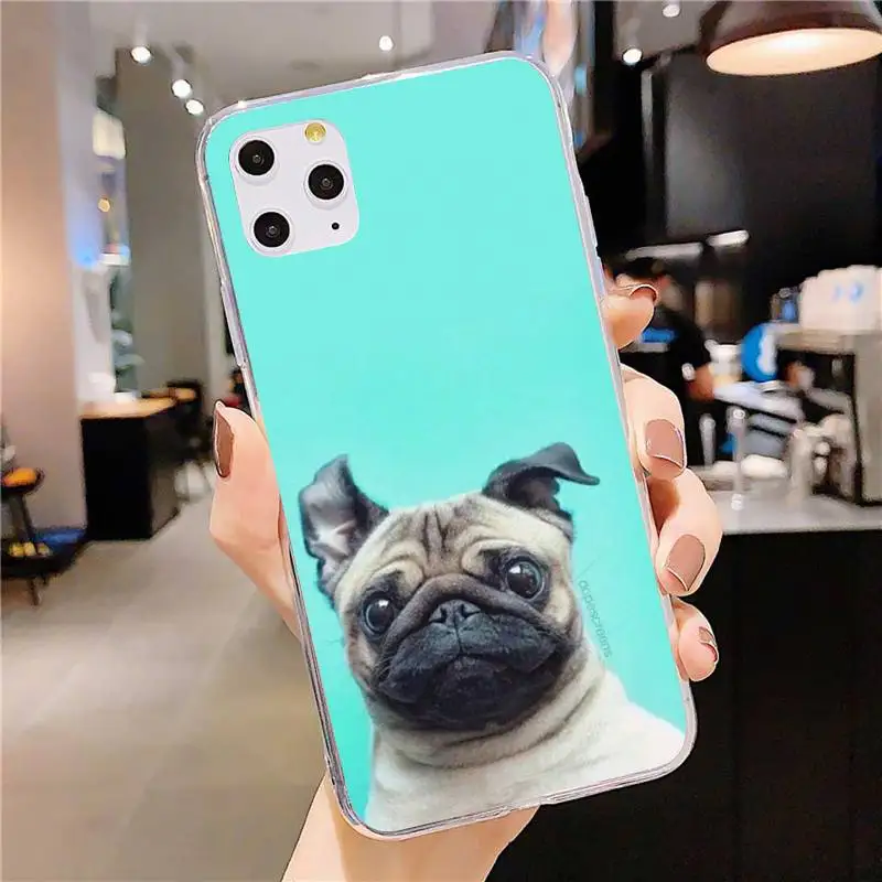 

Pug Dog French Bulldog Phone Case For Clear-Iphone 5 5s se 6 6s 7 8 11 12 X Xs Xr Pro Plus Max Mini Cover