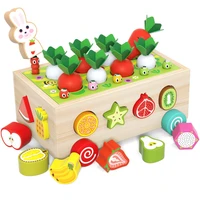 toddlers montessori wooden educational toys for age 1 2 3 year old shape sorting toys preschool learning fine motor skills game
