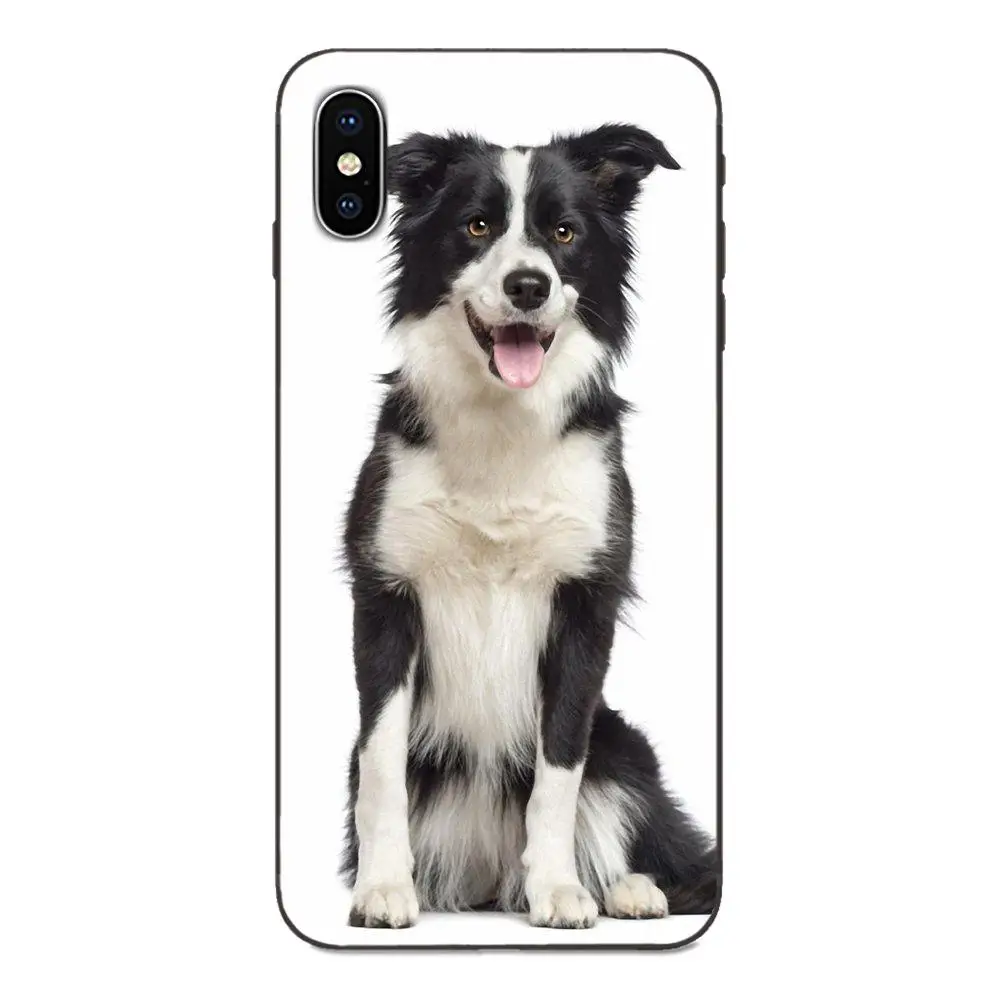 TPU Screen Protector For Galaxy A10S A20S A2 Core A30S A40S A50S A70S A90 5G M10 M30S M40 Note 10 Plus Border Collie Dog | Мобильные