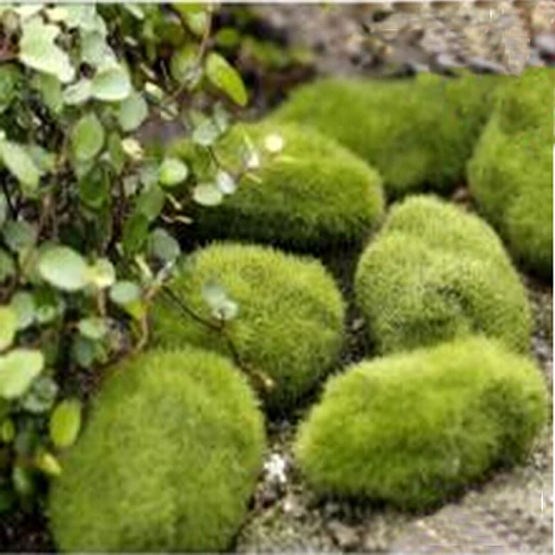 

8pcs/pack Green Artificial Moss Stones Grass Bryophytes Home Garden Bonsai Decoration For Garden Path Decor Ornaments