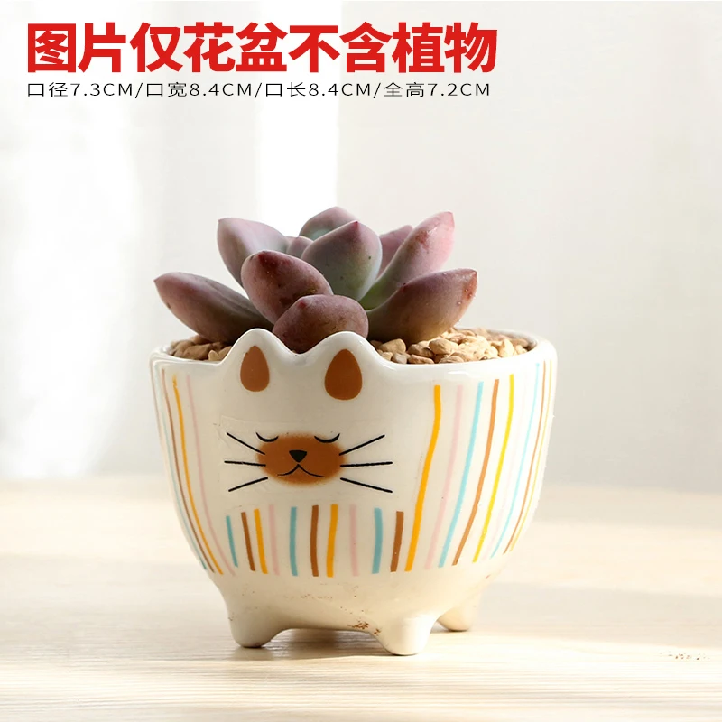 12 Корейский мультфильм Кот мульти-мясо небольшой цветочный горшок Ретро дышащая керамическая грубая керамика мясо цветок зеленые цветочные горшки для балкона цветок - Цвет: 12