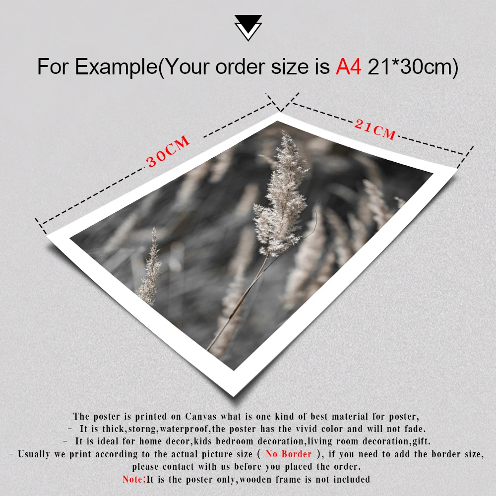 

Grass Nature Scenery Picture Flower Plant Poster leopard Wall Art Canvas Painting Nordic Style Modern Print for Living Room