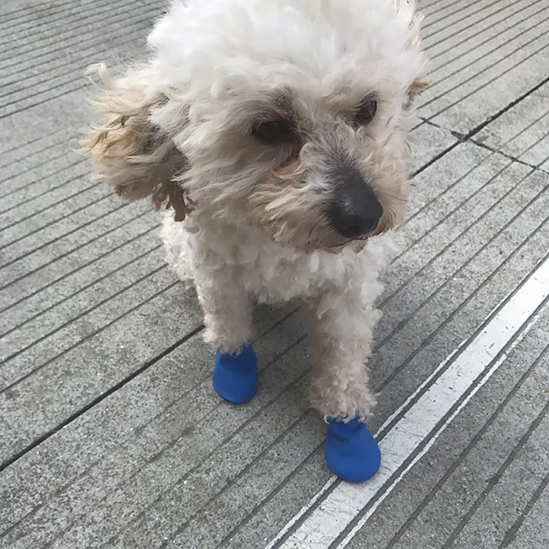 4pcs/set Pets Boots Socks Waterproof Rubber Rain Dog Shoes Non Slip Outdoor Puppies Cachorro Candy Color | Дом и сад