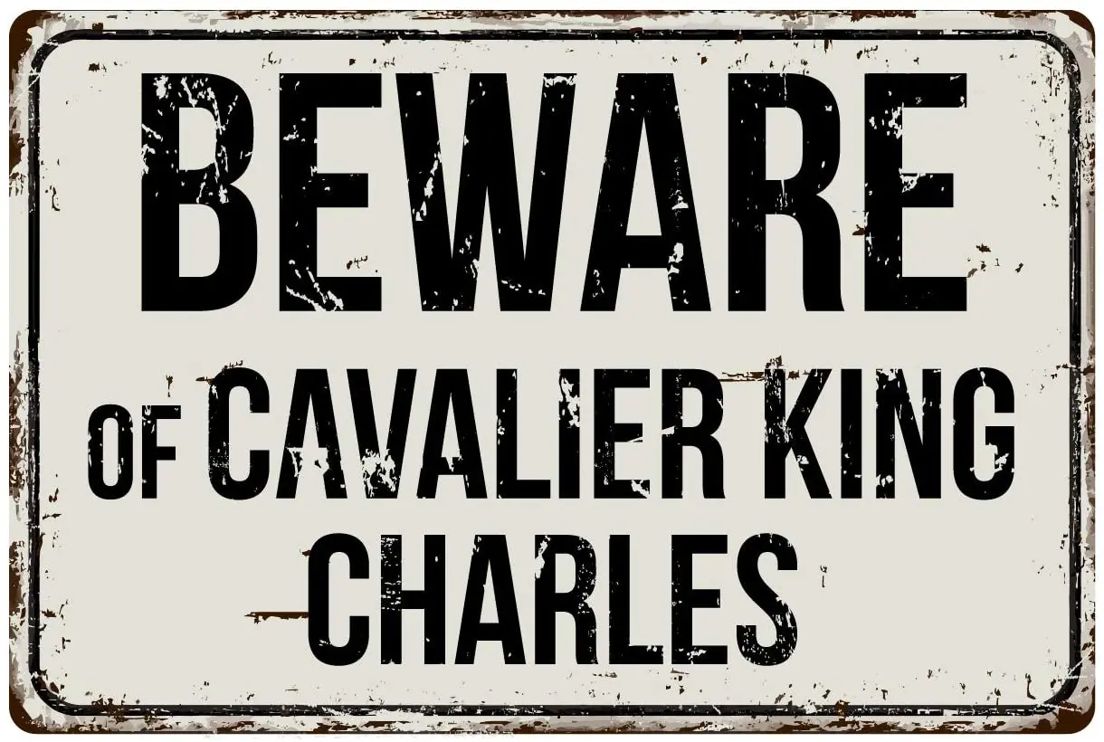 

Deerts 201VS Beware of Cavalier King Charles 8 x 12 Vintage Aluminum Retro Metal Sign