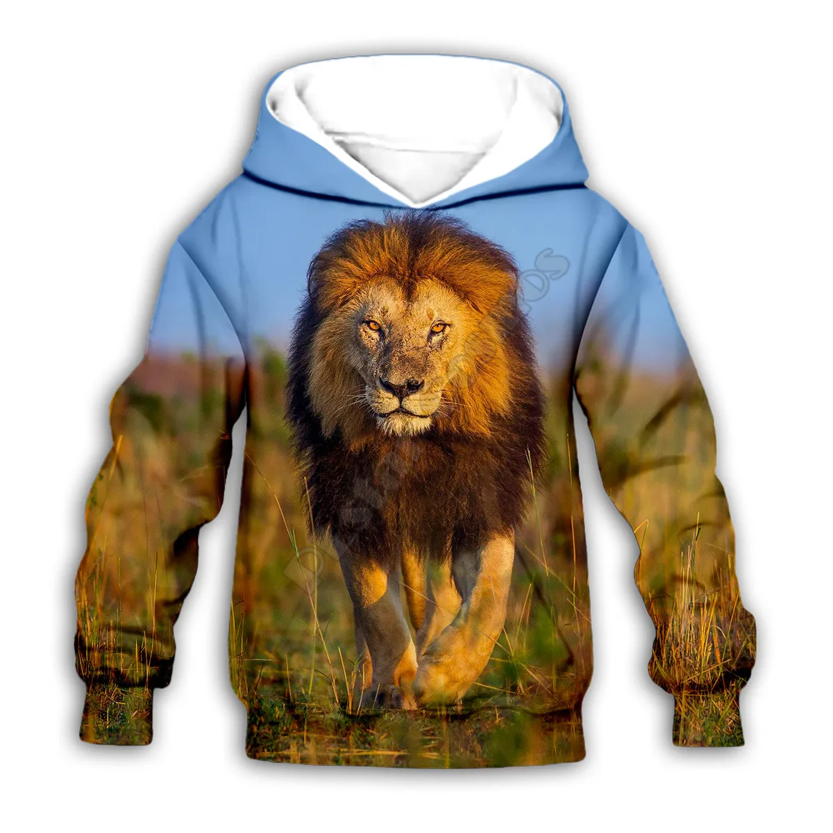 

Kid Lion 3D Golden Retriever print hoodies child baby boy girl clothing autumn Sweatshirt zipper jacket tshirt Pant Shorts 03