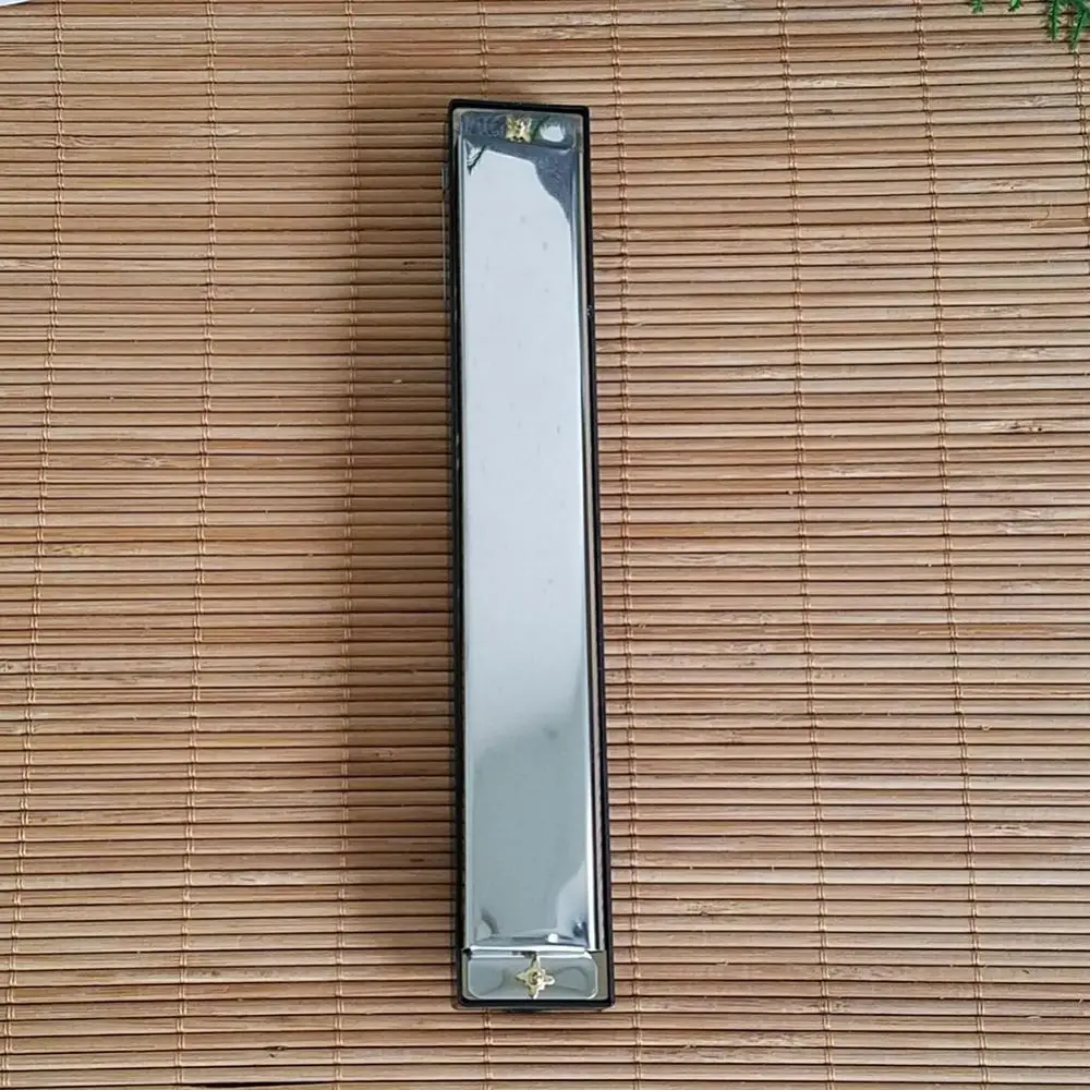 Диатоническая гармоника с 24 отверстиями Серебряный блюз диатоническая