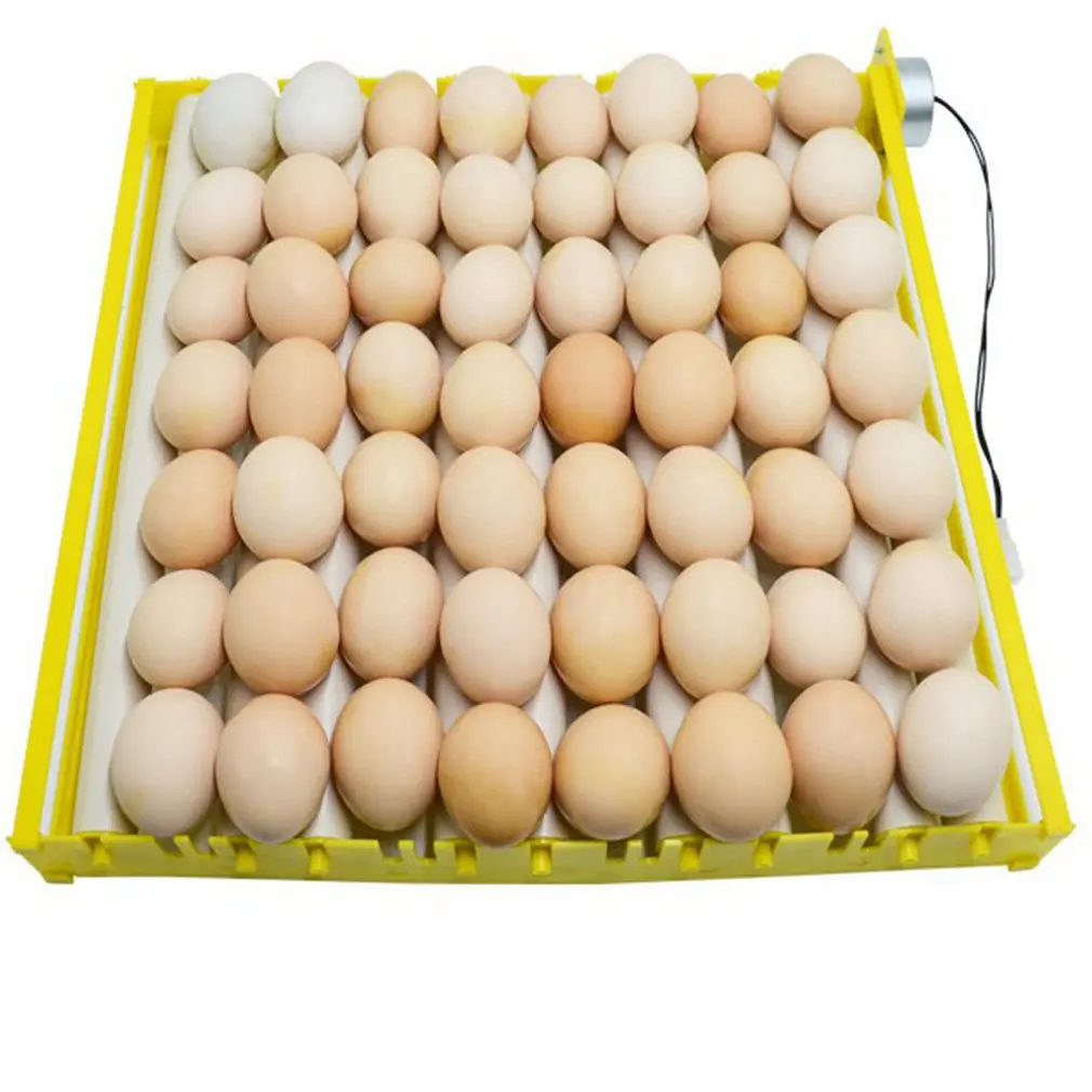 

Plastic Eggs Incubator Accessories Durable Rotary Automatic Roller Pattern Egg Turner Tray Household Egg Tray