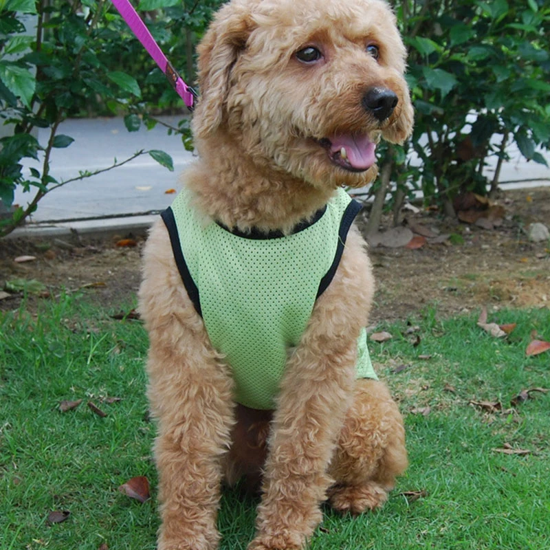 Летняя одежда для собак однотонная сетчатая Повседневная жилетка домашних