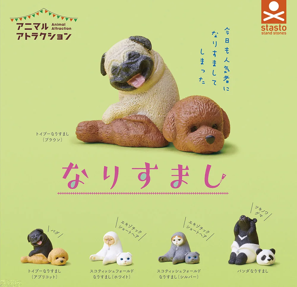 Япония натуральная капсула игрушка kawaii Забавный Мопс вид пуделя медведь
