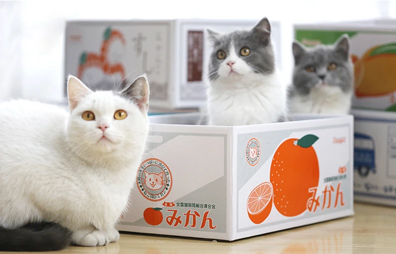Картонная коробка для кошек, гофрированная бумага для кошачьей тарелка лапа, кошка любит оставлять эту коробку в качестве кошачьего гнезда или игрушечного домика