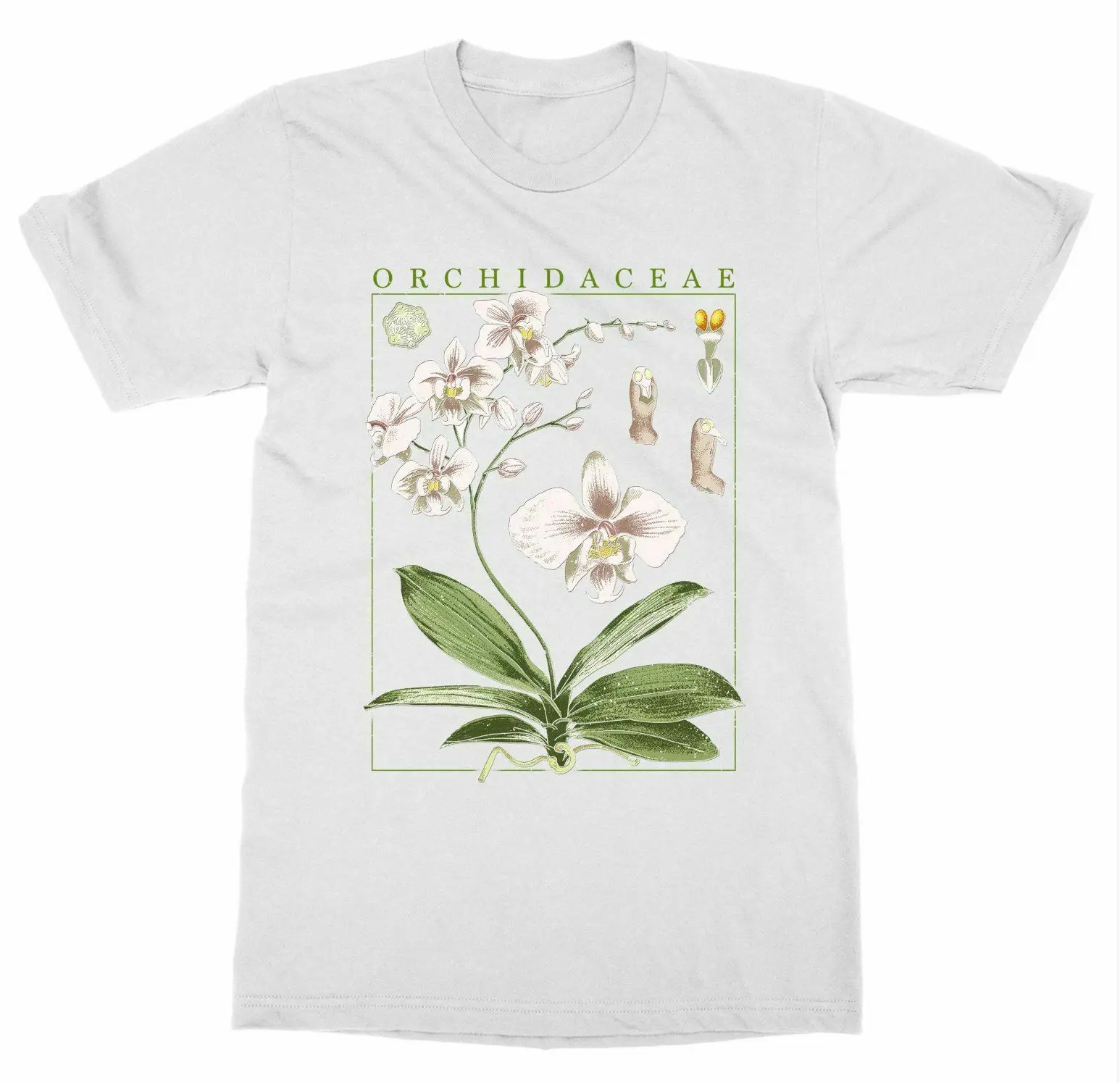 

Botany Plant Orchid Bloom Fruit Flower Grow Print Art T-Shirt. Summer Cotton Short Sleeve O-Neck Mens T Shirt New S-3XL