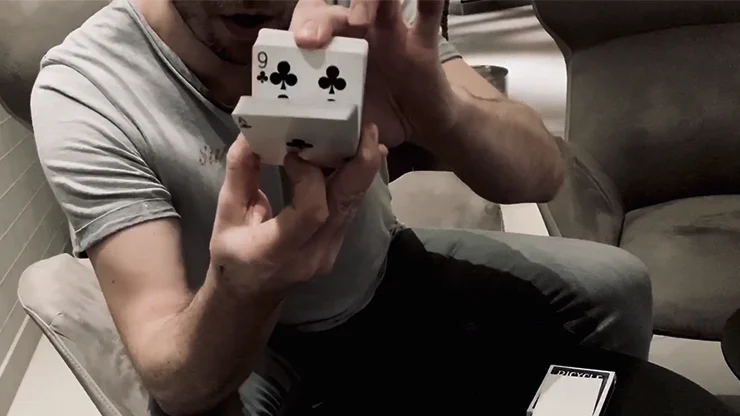 Houdinis последний трюк (подвески и обучение) от Питера байчернила реквизит для