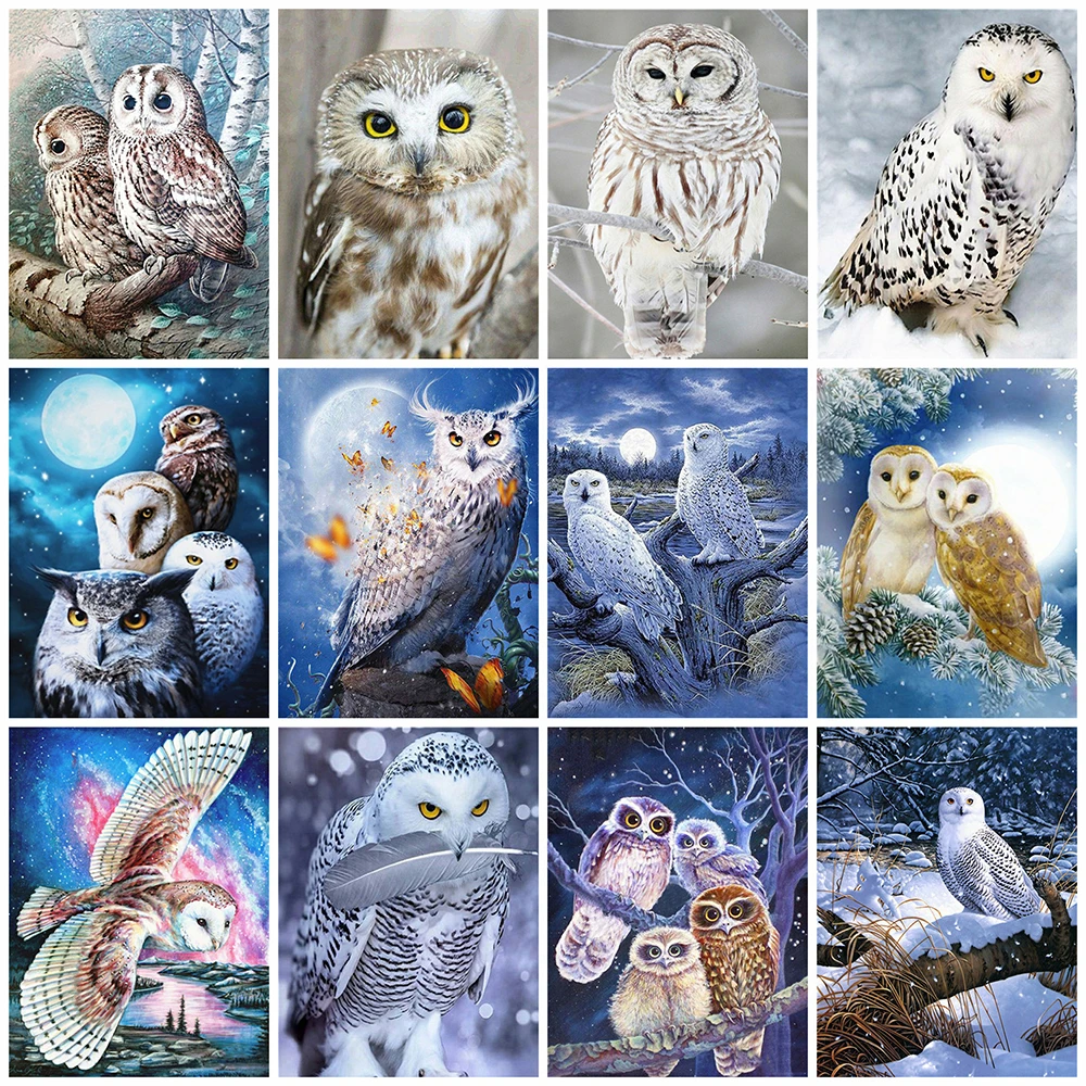 HUACAN 5D DIY Diamond Painting Owl Winter Full Square Diamond Embroidery Cross Stitch Animal Home Decor Craft Kit