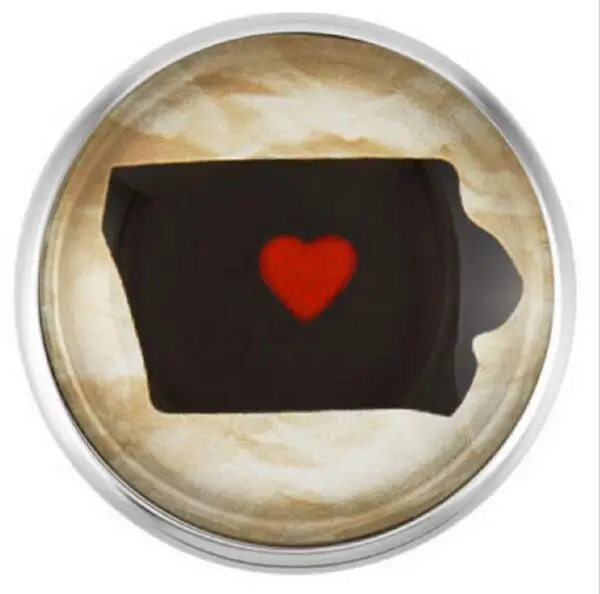 Lowa State Snap Buttons Glass Charms Fit 18mm DIY Bracelets/Necklace Jewelry 20Pcs/lot |