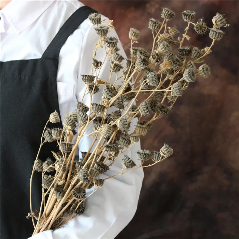 

10pcs Hand made pure natural dried flowers bunch Dried Flower for offcie home wedding decoration natural real dry branches