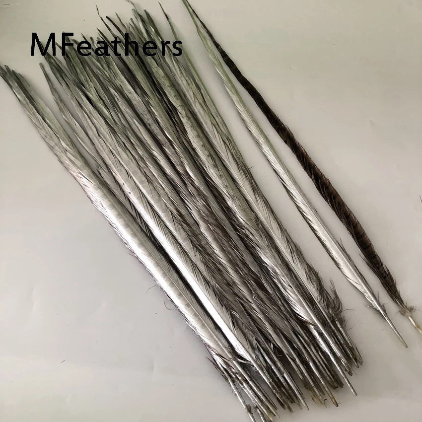 silver 100 шт Черный Цвет ringneck перо из хвоста фазана обесцвеченные и окрашенные перья фазана карнавал Showgirl Backpieces - Цвет: silver