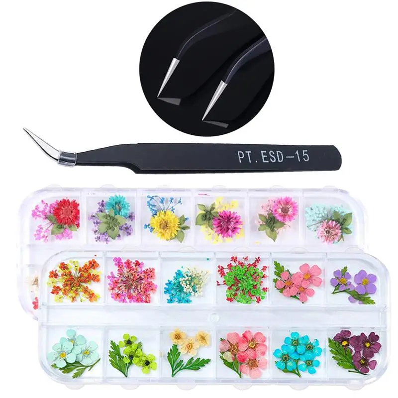 

2 Boxes Nail Dried Flower Fashion Natural DIY Nail Art Decor with Tweezers DIY Tips Small Flowers Nails Stickers for Women Girls