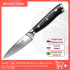 Нож для фруктов Sunnecko, 3,5 дюйма, лезвие из дамасской стали с острым лезвием, Ручка G10, японская сталь VG10, кухонные ножи, поварской инструмент для резки