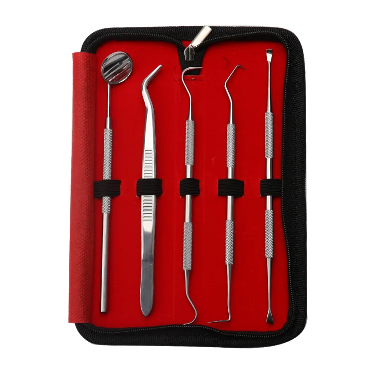 

4/5 PCS Hand Tools for Tooth Scraper Kit Stainless Toothpastes Dental Tools Dentist Seek Mirror Instruments