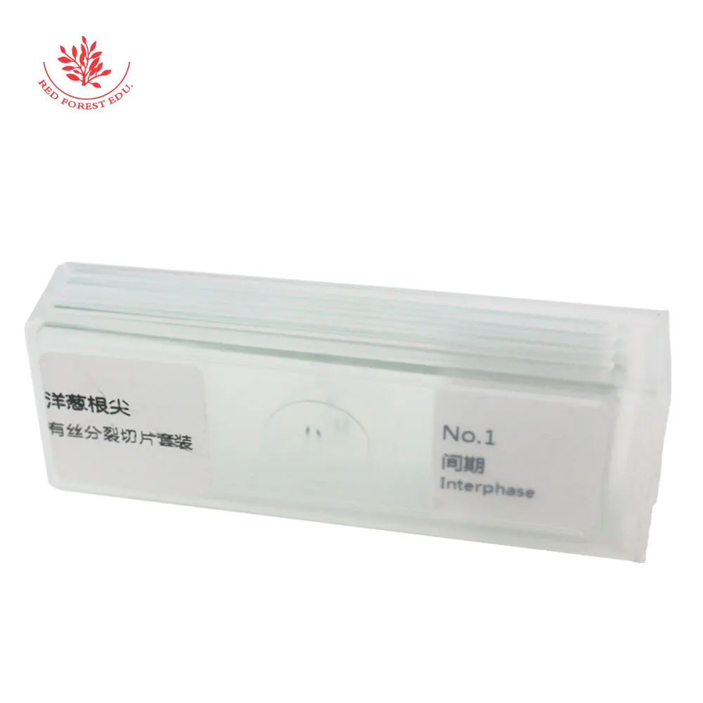 Набор из 5 предметов для изучения Биологии растений | Канцтовары офиса и дома