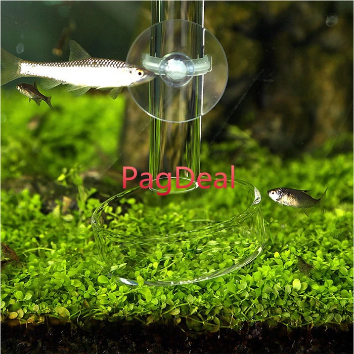 Аквариумные хрустальные трубы для кормления креветок аквариумные рыбки улитки