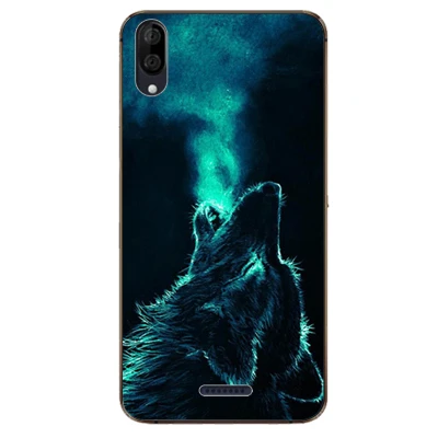 Для Wiko Y80 Y 80 чехол 5,9" Роскошный чехол из ТПУ и силикона чехол s для Wiko Y60 Y60 5,45 дюймов задняя крышка телефона Funda Coque - Цвет: W33