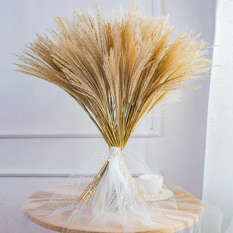 

Natural Pampas Grass Decor Dried Reed Flower Material Arrangement For Modern Home Decoration Party Backdrops Wedding Supplies