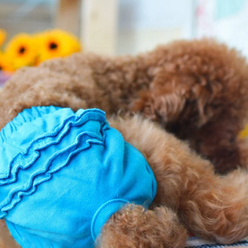 Новинка Лидер продаж моющиеся подгузники для кошек и собак брюки гигиеническое