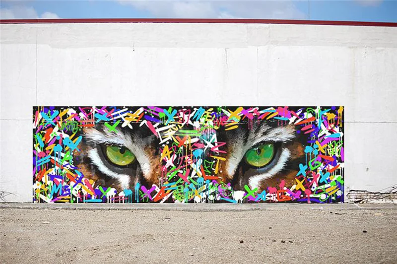 

Graffiti Art Paintings on the wall Art Posters and Prints Canvas Paintings For Living Room Wall Decoration