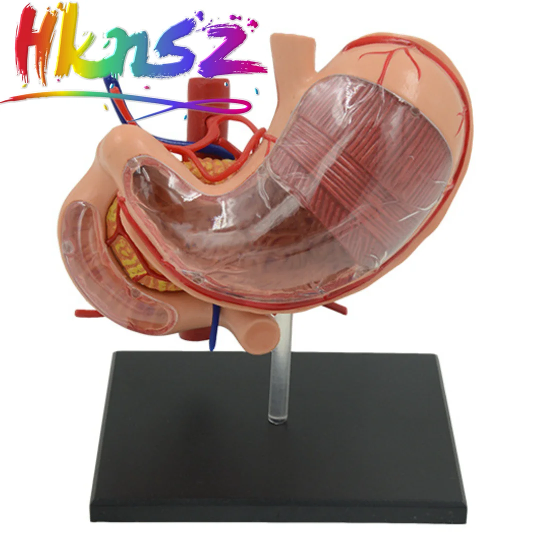 

Educational Equipment & Supplies