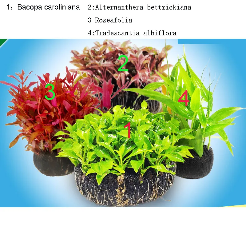 4 items Aquarium aquatic plants living freshwater grass scenery one 1piece per 4 items - Цвет: 4 items