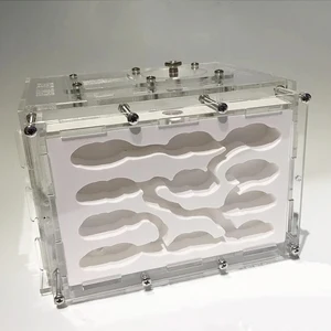 Новинка, гипсовая муравьиная Ферма для самостоятельной сборки, муравейник с зоной кормления, увлажняющий экологический дом для муравьев, мастерская для домашних животных, муравейник горячая распродажа