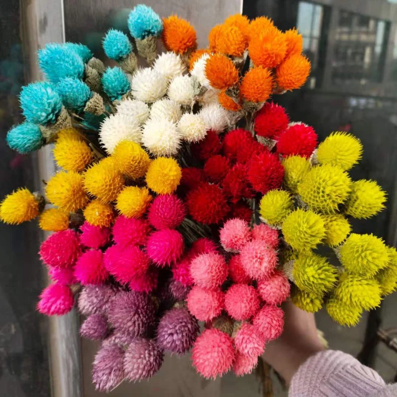

1 bouquet Strawberry fruit real dried flower for diy craft wedding party home flower arrangement decoration